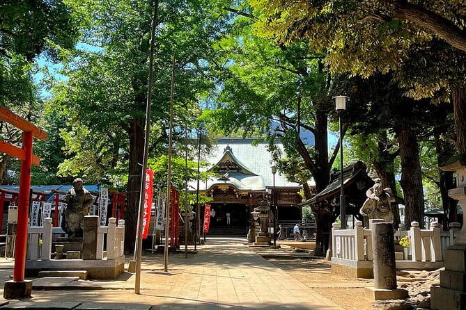 Private Tour in Tokyo with Local Guide - Stop 3: Harajuku Station, Takeshita Street, and the switch to Meiji Shrine