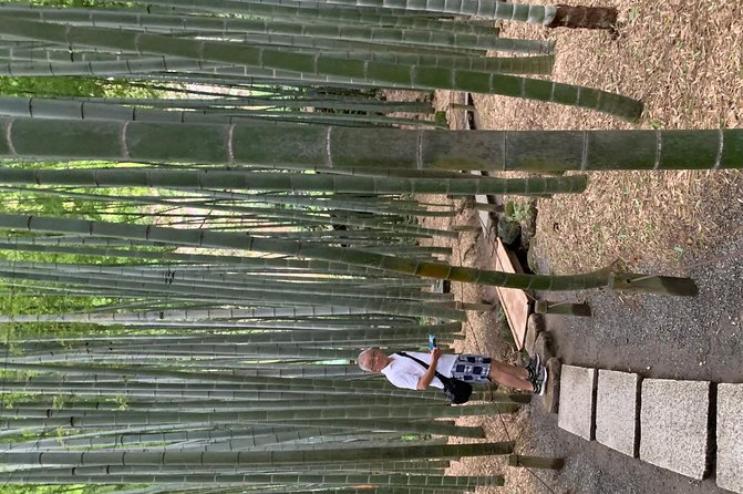 Private Tour Kamakura and Enoshima With Guide and photographer - 10 Hours of Kamakura and Enoshima with Hotel Pickup