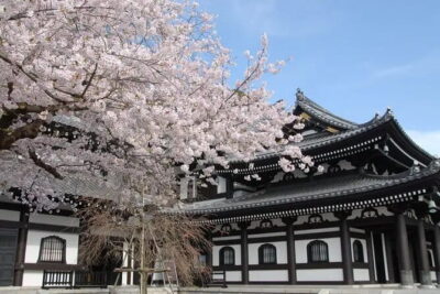 Private Tour Kamakura Yokohama Day Trip English speaking driver - The real value of an English-speaking driver (and why private matters)