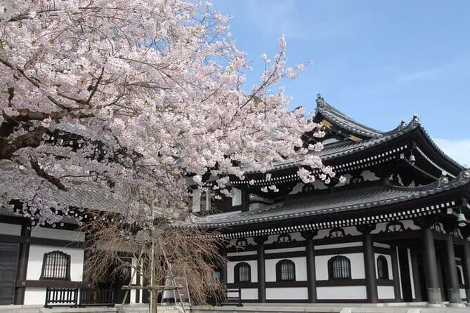 Private Tour Kamakura Yokohama Day Trip English speaking driver - The real value of an English-speaking driver (and why private matters)