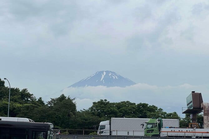 Private tour - Scenic Fuji Escape: Hakone, Peace Park & More - Kitaguchi Hongu Fuji Sengen Jinja: A UNESCO-Linked Shrine in a Cedar Forest