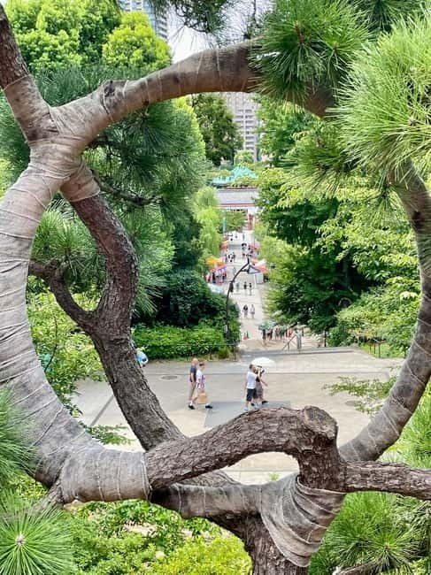 Private Tour Through the Tokyo National Museum & Ukiyo-e - Ueno Toshogu Shrine and the Tokugawa Link