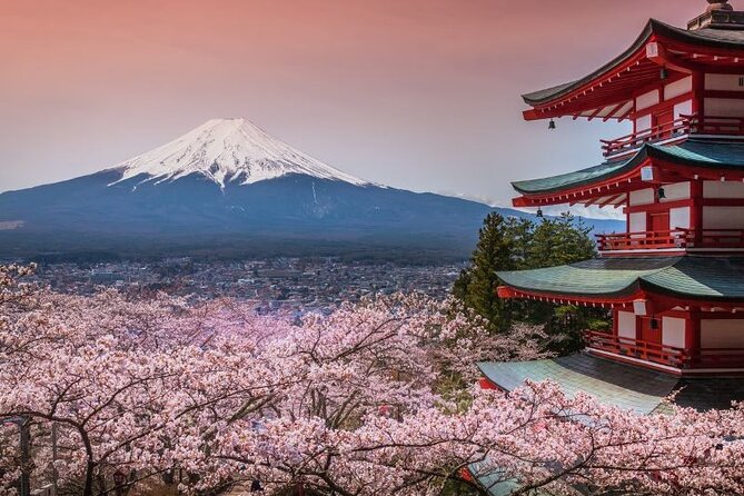Private tour to Mount Fuji and Hakone from Tokyo - Private pickup and a real small-group day to Fuji + Hakone