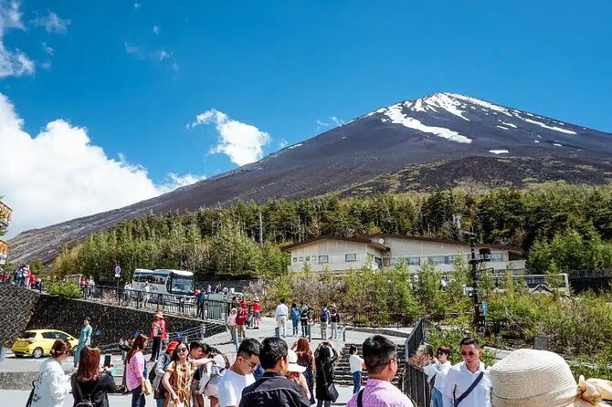 Private tour to Mount Fuji and Hakone from Tokyo - Lake Kawaguchiko and Oishi Park: where the views last longer