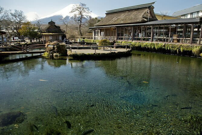 Private Tour to Mount Fuji & Hakone with Gotemba Outlets English - Price and logistics: what $425 buys (and what it doesn’t)
