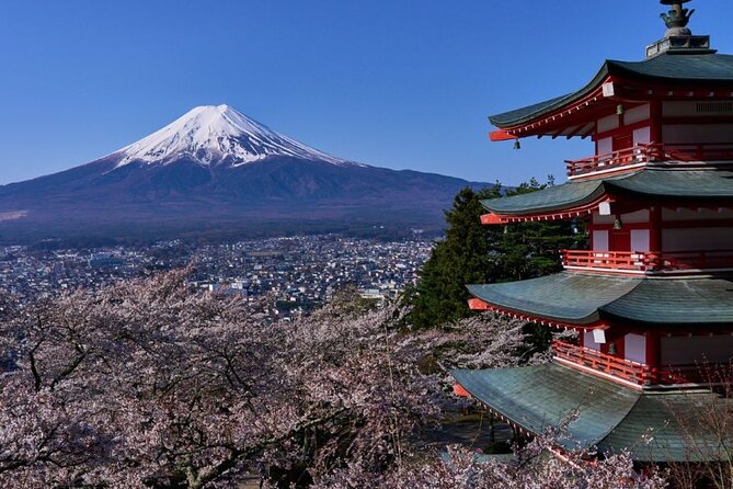 Private tour to Mount Fuji with an English driver from Tokyo - Key highlights to look for