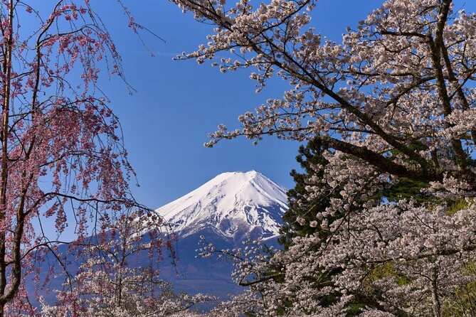 Private tour to Mount Fuji with an English driver from Tokyo - Oshino Hakkai: the calm side of Fuji