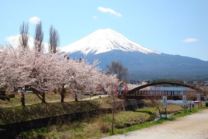 Private tour to Mount Fuji with an English driver from Tokyo - Yamanashi Prefecture stop: short town time, practical sightseeing