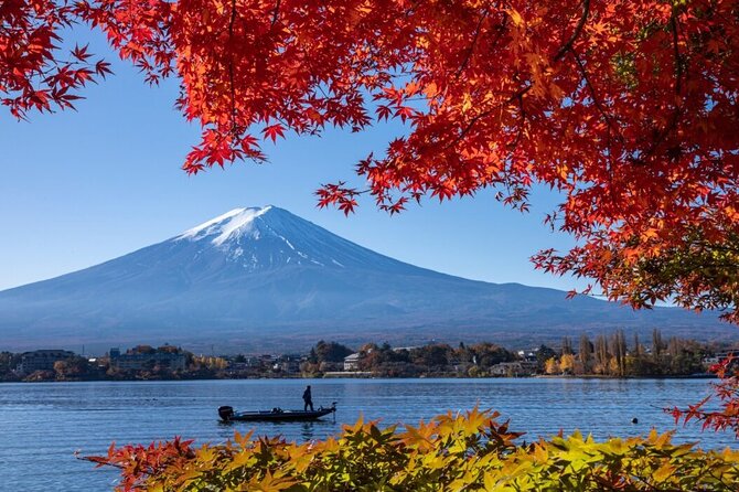 Private tour to Mount Fuji with an English driver from Tokyo - Chureito Pagoda: the cherry-blossom icon shot