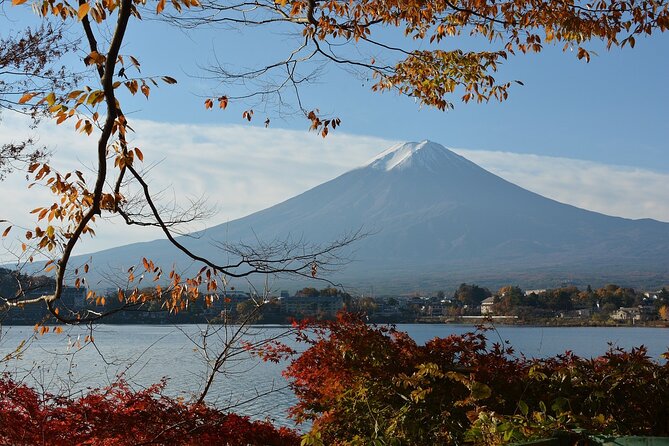 Private Tour to Mt Fuji and Hakone with English Speaking Driver - Mt Fuji and Hakone in a single day: why private is the smart move