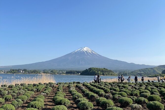 Private Tour to Mt Fuji and Hakone with English Speaking Driver - Ōwakudani Station: volcano steam, sulfur air, and the black egg ritual