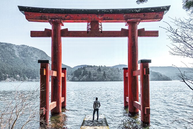 Private Tour to Mt Fuji and Hakone with English Speaking Driver - Lake Ashi and the Torii view: the pirate ship ride worth planning for