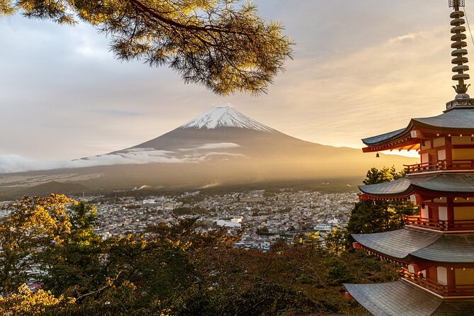 Private Tour to Mt Fuji and Hakone with English Speaking Driver - Price and what $495.51 per group really buys you