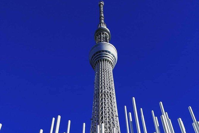 Private tour Tokyo - The Harmony of Modernity and Tradition - The 8-hour pacing: why 30 minutes per stop can work