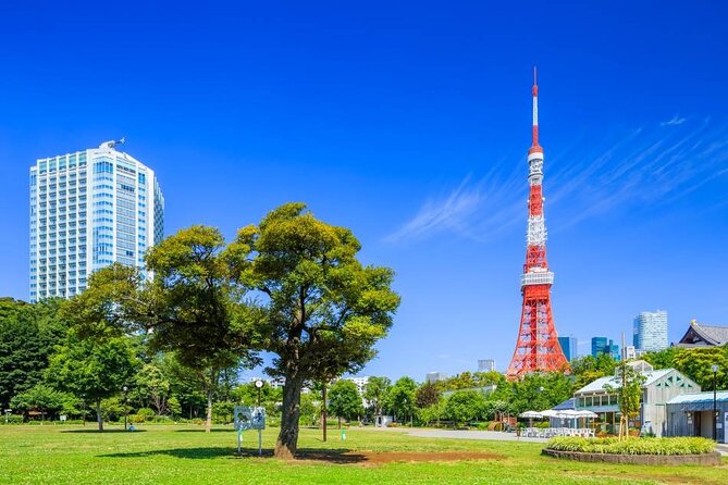 Private Transfer for Custom Day Tour in Tokyo - Key things to know before you go