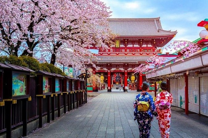 Private Transfer for Custom Day Tour in Tokyo - Senso-ji Temple in Asakusa: plan for hands-on sensory time