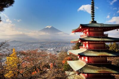Private Transfer for Custom Day Tour in Tokyo - Price and timing: what you’re really paying for