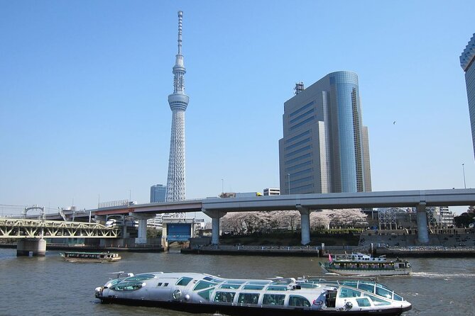 Private Transfer for Custom Day Tour in Tokyo - Sumida River cruise: the view break you might want to pay for