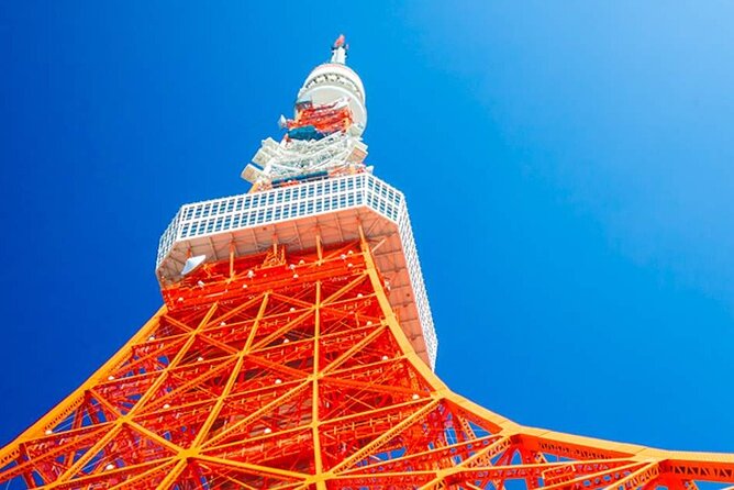 Private Transfer for Custom Day Tour in Tokyo - Odaiba Seaside Park: modern Tokyo with room to roam
