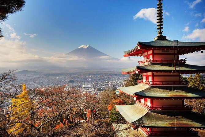 Private Transfer for Custom Day Tour in Tokyo - Price and timing: what you’re really paying for
