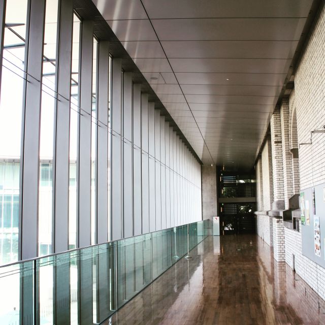 Private Ueno Park Architecture Tour - Tokyo National Museum buildings: eras you can actually compare