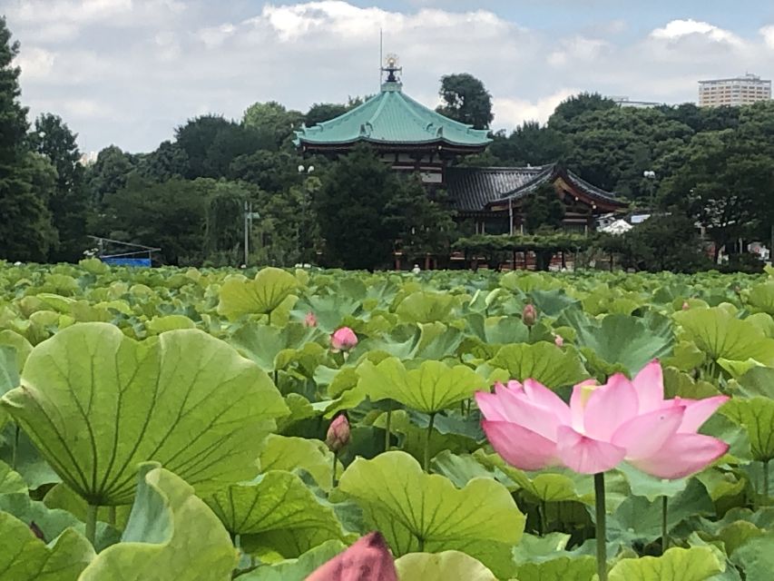 Private Ueno Park Architecture Tour - Guide quality and the private-group advantage (especially if you get Mari)