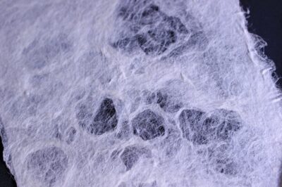 Private Workshop for Making Paper Last 1,000 years in Ueno - The practical flow: from kozo to postcards (without rushing)