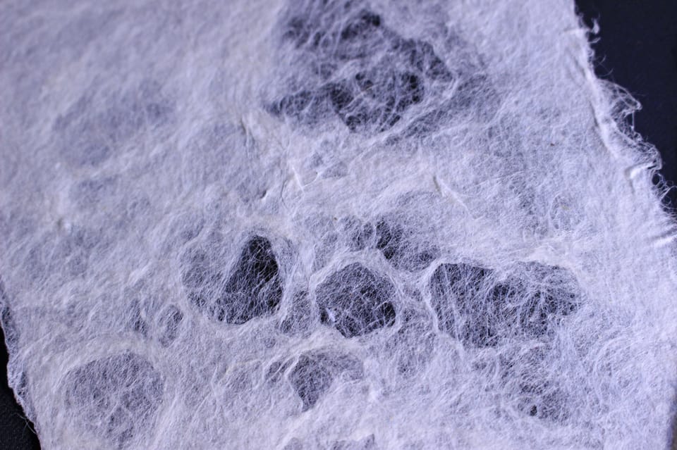 Private Workshop for Making Paper Last 1,000 years in Ueno - The practical flow: from kozo to postcards (without rushing)