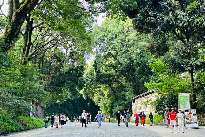 Sacred Morning Walk and Brunch Meiji Shrine - Shrine etiquette you’ll actually use next time