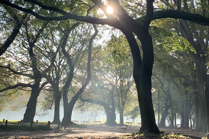Sacred Morning Walk and Brunch Meiji Shrine - The history angle: why it matters at a shrine, not just in a brochure