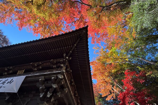 Samurai Guide Sho’s Mt. Takao Hike, Temple & Onsen from Shinjuku - Mt. Takao waterfall training route: what the hike feels like