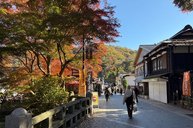 Samurai Guide Sho’s Mt. Takao Hike, Temple & Onsen from Shinjuku - TAKAO36SAUNA tattoo-friendly onsen: the payoff you can control