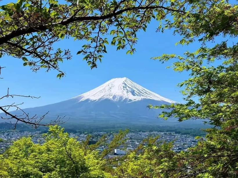 [Seasonal Limited] Mt. Fuji 5th Station &Hot Spring Day Tour - The postcard photo stop: Asama Park’s crimson pagoda moment