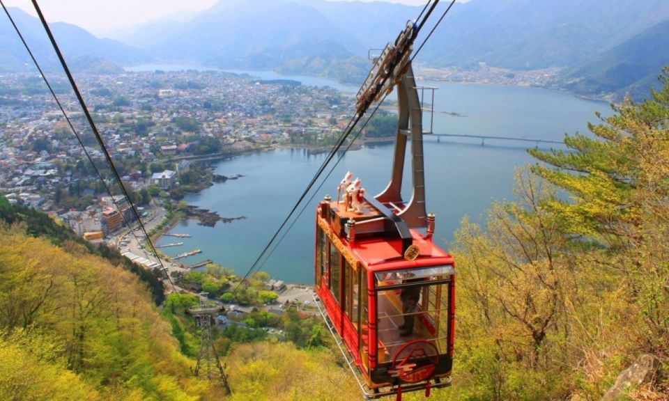 Seasonal Mt. Fuji Scenic Views, Fruit Picking and Ropeway! - Lunch in Yamanashi: houtou noodles, pork, and seasonal vegetables