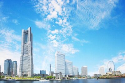 Shared Arrival Transfer : Haneda Airport to Yokohama City - Meeting the driver at Haneda: use the voucher, not guesswork