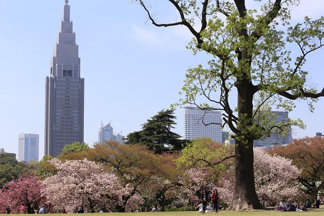 Shared Departure Transfer : Central Tokyo Hotel to Haneda Airport - A Practical Checklist So Your Haneda Transfer Feels Effortless