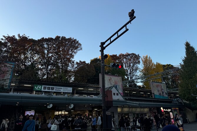 Shibuya and Harajuku Highlights Walking Tour - Key highlights worth your attention