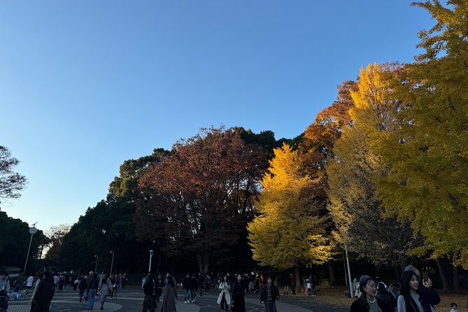 Shibuya and Harajuku Highlights Walking Tour - Price and what’s actually included (and why that changes the math)