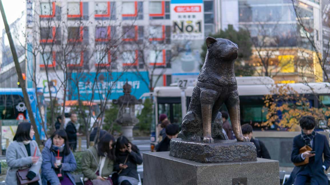 Shibuya: Crossing, Hachiko & Shibuya Sky Guided Tour - Timing and pace: why 2 hours can work (and when it won’t)