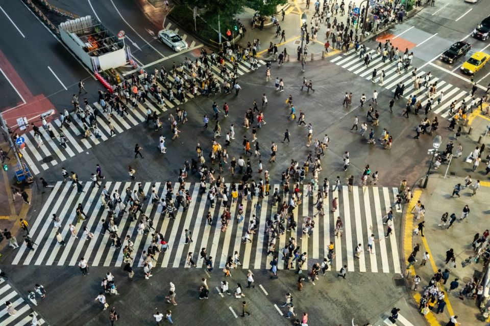 Shibuya & Harajuku: Hidden Gems & Highlights Private Tour - Shinjuku Flavor and Adults-Only-Style Areas (When Time Allows)