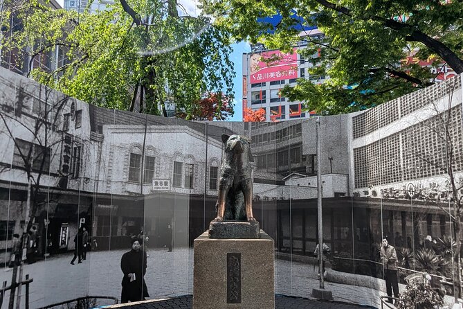 Shibuya Highlights Hachiko Scramble Meiji Jingu and Sky - Key Things I’d Aim For on This Tour