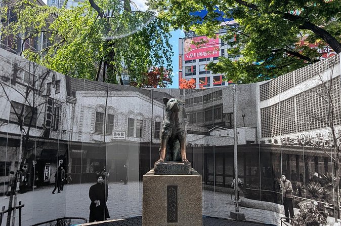 Shibuya Highlights Hachiko Scramble Meiji Jingu and Sky - Price and Tickets: What’s Included, What Costs Extra