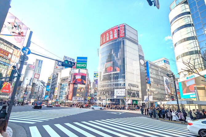 Shibuya Highlights Hachiko Scramble Meiji Jingu and Sky - Start at Hachiko Square: Photo First, Line Watch