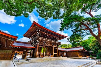 Shinto Shrine Tour: Explore Japanese Culture in Tokyo - Price and what $206.26 buys you (and what it doesn’t)