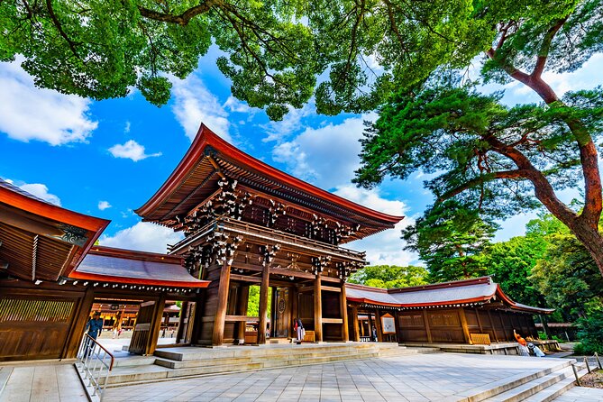 Shinto Shrine Tour: Explore Japanese Culture in Tokyo - Price and what $206.26 buys you (and what it doesn’t)