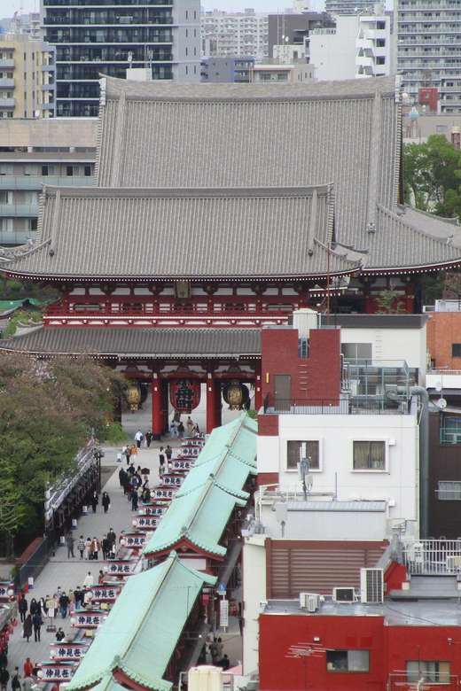 Shuttle Van Tokyo-Tour, for 4 Hours or 6 Hours+Transfer Time - 4 hours vs 6 hours+: how time affects what you can enjoy