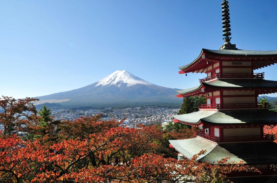 Sightseeing Day Trip to Mount Fuji and Hakone Green Number - Key Highlights You’ll Care About
