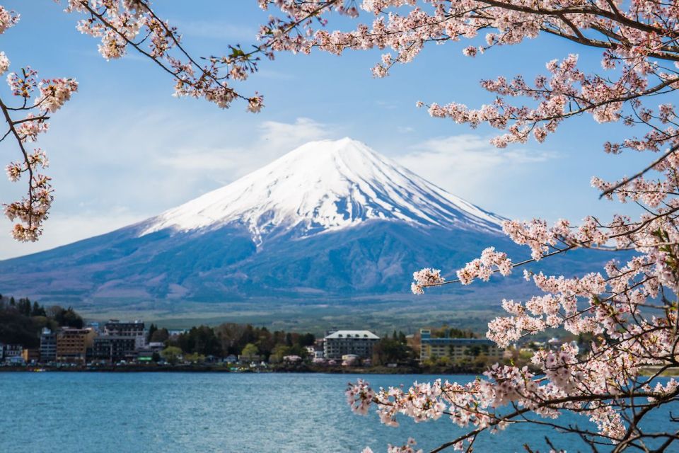Sightseeing Day Trip to Mount Fuji and Hakone Green Number - Oishi Park and Kachi Kachi Ropeway: Make the Most of Your Photo Time