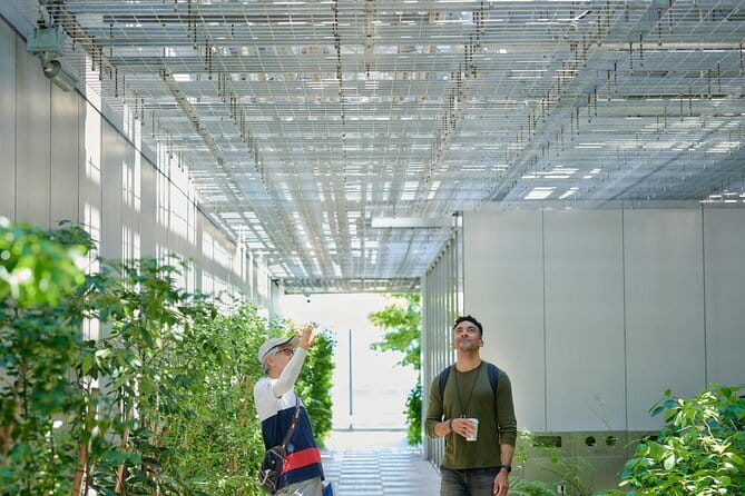 Small-Group Architecture Tour in Ginza, Tokyo - Key things you’ll notice on this Ginza architecture tour