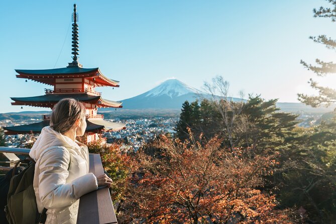 Small Group Tour Mount Fuji and Lake Kawaguchi from Tokyo - Getting from Shimbashi to Fuji without losing your whole day